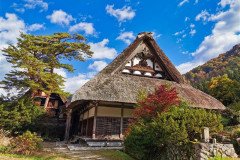 IMG_20191101_095830