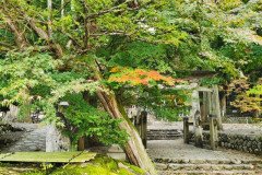IMG_20191101_100145