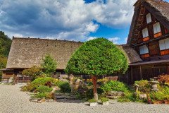 IMG_20191101_101659