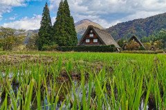 IMG_20191101_101946