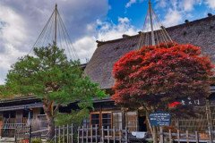 IMG_20191101_103052