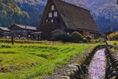 IMG_20191101_110815