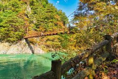 IMG_20191101_111234