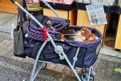 IMG_20191031_152346