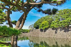 IMG_20191026_105706