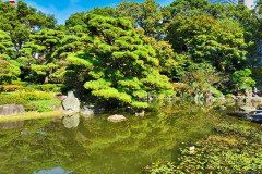 IMG_20191026_122053