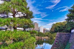 IMG_20191026_123114