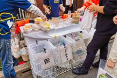 IMG_20191026_131317
