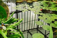 IMG_20191026_144645