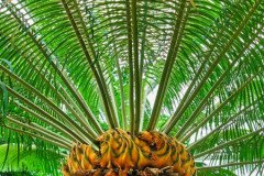 IMG_20191026_144840