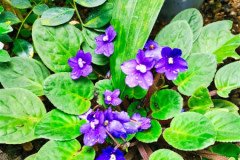 IMG_20191026_145029