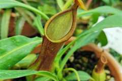 IMG_20191026_145322
