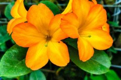 IMG_20191026_145451