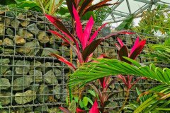 IMG_20191026_145554