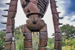 IMG_20191026_163351