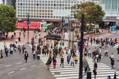 IMG_20191027_093704
