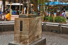 IMG_20191027_100851