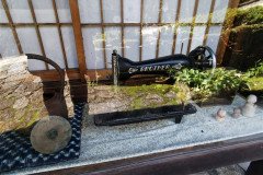IMG_20191030_115407