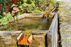 IMG_20191030_120558