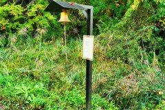 IMG_20191030_122700