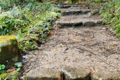 IMG_20191030_122850