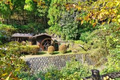 IMG_20191030_123319