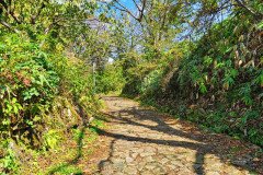 IMG_20191030_123345