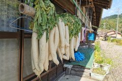 IMG_20191030_125002