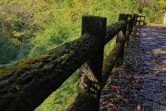 IMG_20191030_131157