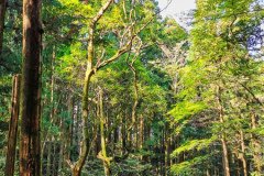 IMG_20191030_131554