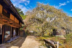 IMG_20191030_132626