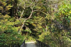 IMG_20191030_133705