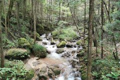 IMG_20191030_135701