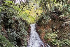 IMG_20191030_141236