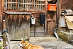 IMG_20191030_142043
