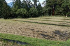 IMG_20191030_142545