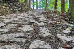 IMG_20191030_142830