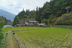 IMG_20191030_144654