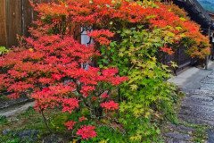 IMG_20191030_145607