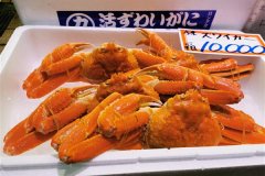 IMG_20191102_094940