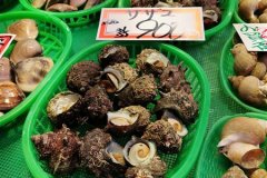 IMG_20191102_095331