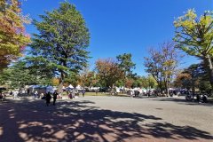 IMG_20191102_122730
