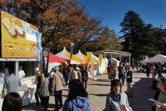 IMG_20191102_122946