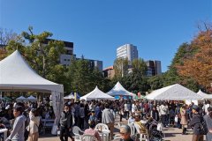 IMG_20191102_123504