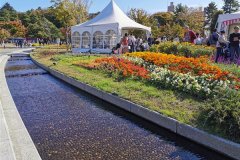 IMG_20191102_131619