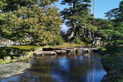 IMG_20191102_140502