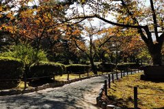 IMG_20191102_141852