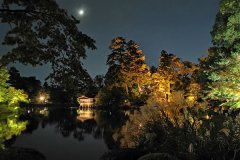 IMG_20191102_182652