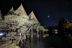 IMG_20191102_183038