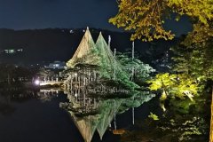 IMG_20191102_184942